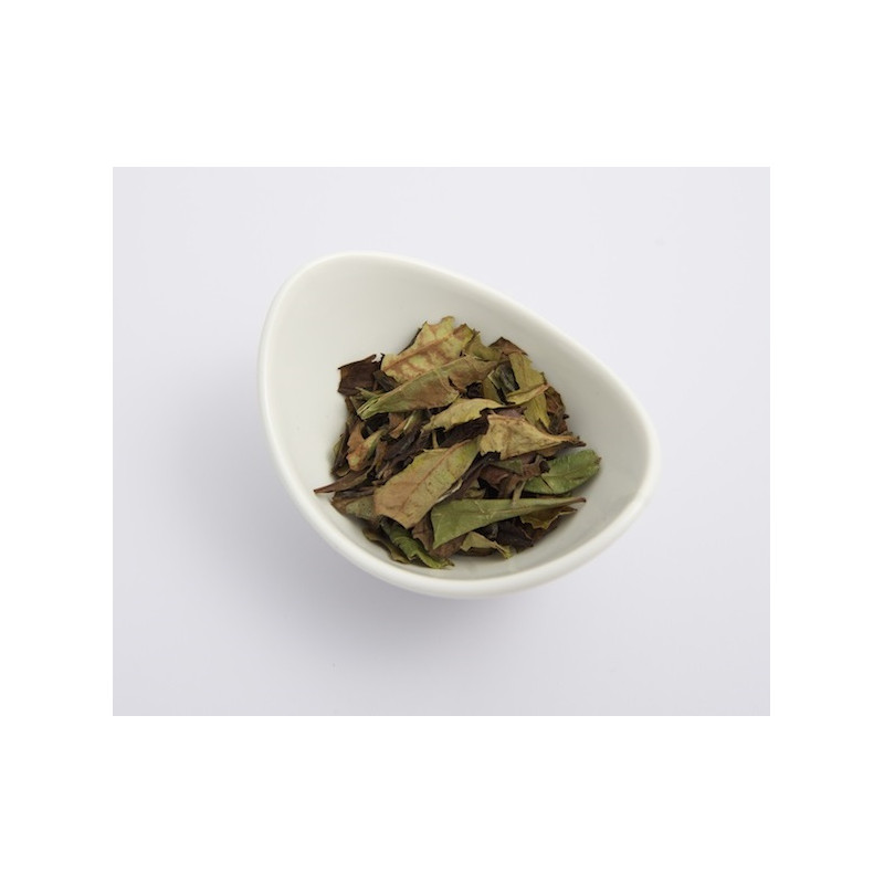 Weisser Tee "Pai Mu Tan" (Bio)