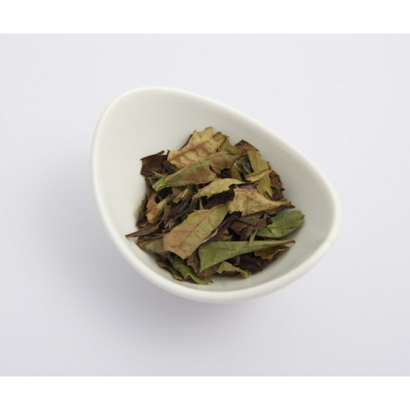 Weisser Tee "Pai Mu Tan" (Bio)