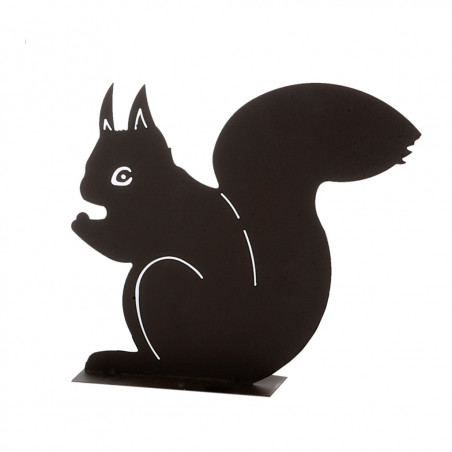 Eichhörnchen