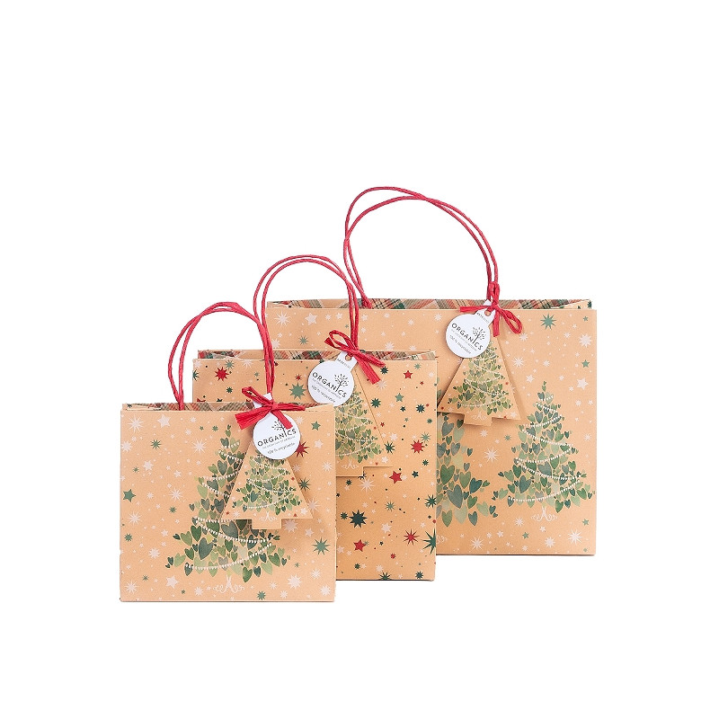 Geschenktasche ORGANICS