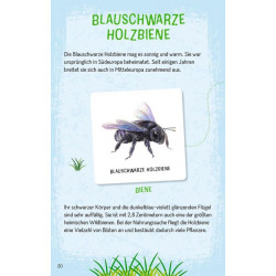 Das große Insekten Memo