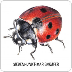 Das große Insekten Memo