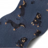Socken Dachshund