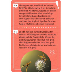 Mein Forscherquiz