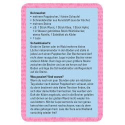 50er Kartensets: Experimente