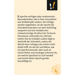 Quizzen & Wissen Alltagsrätsel