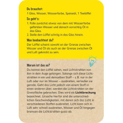 PhänoMINT 75 Experimente Optische Illusionen