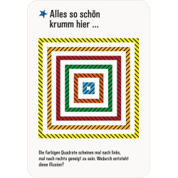 PhänoMINT 75 Experimente Optische Illusionen