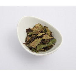 Weisser Tee "Pai Mu Tan" (Bio)