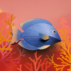 Origami Sea Collection