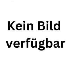 Grüner Tee mit Zitrone "Nidhi" (Bio)