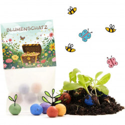 Blumenschatz: 5 Blumenmurmeln im Pergaminbeutel