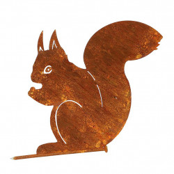 Eichhörnchen edelrost