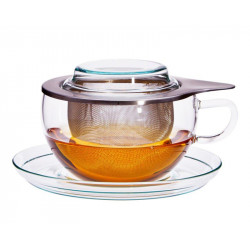 Teetasse aus Brosilikatglas mit Edelstahlfilter