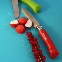 Mein erstes Opinel